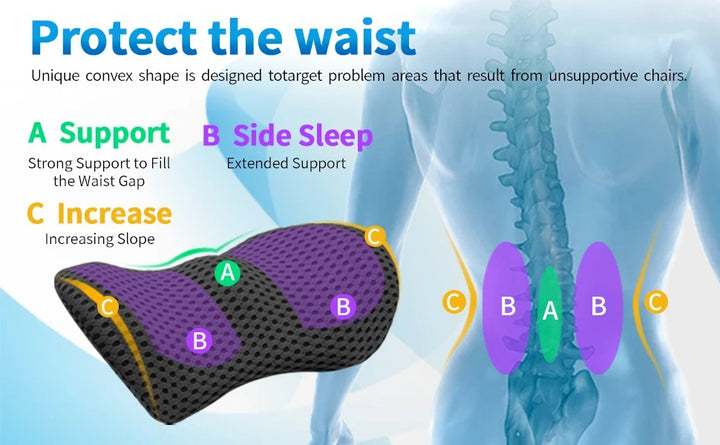 Premium Lumbar Support Pillow – Memory Foam Back Cushion for Car Seat & Office Chair – Ergonomic Waist Pillow for Lower Back Pain Relief, Breathable Removable Cover - StrengthXPhysiotherapy