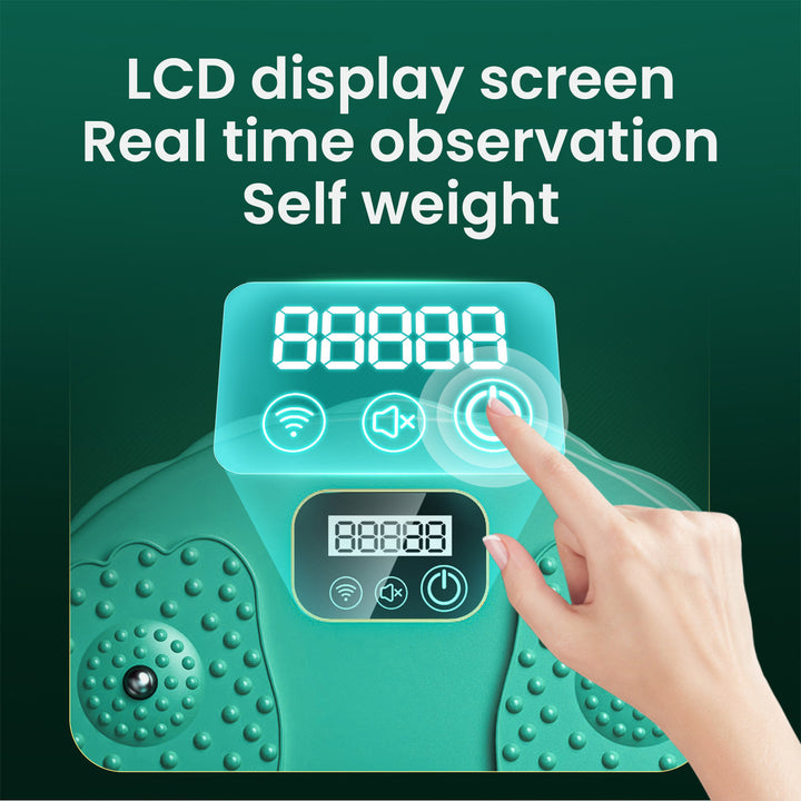 Premium Twist Waist Disc Balance Board – Fitness Equipment for Women, Magnetic Massage Function, Slimming, Belly & Thigh